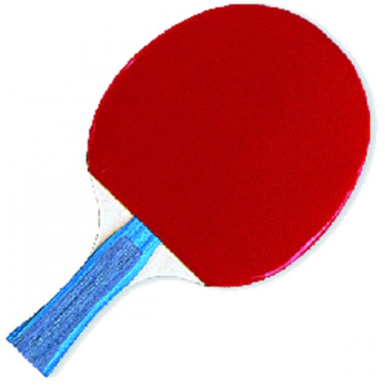 Table tennis racquet - 5 Star